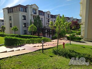 image_19