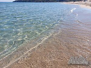 image_31