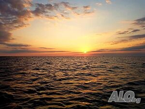 image_25