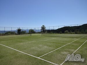image_9