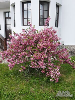  Къща за гости
