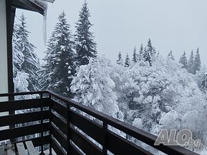 нощувки Апартамент за гости Пампорово