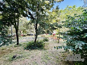 image_14