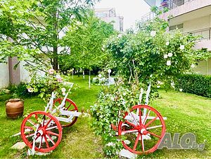 image_21