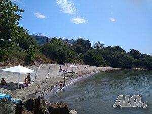 image_8