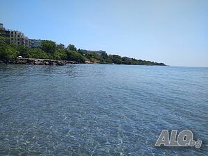 image_9