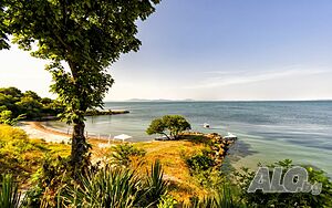 image_25