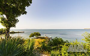 image_27