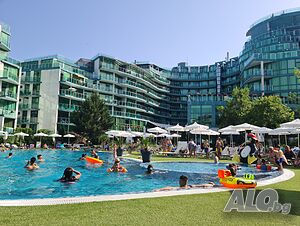 image_19
