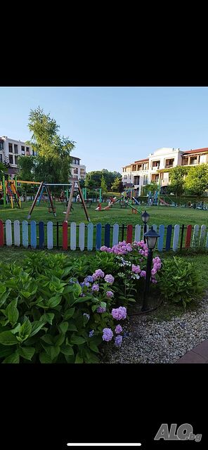 image_18