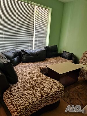 image_6