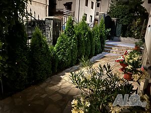 image_6
