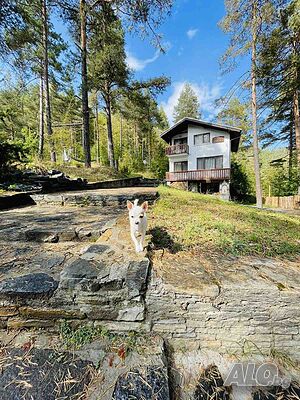 image_5