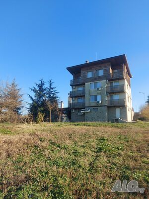 image_3