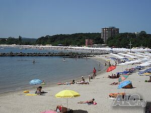image_3