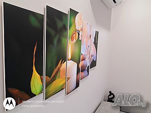 image_12