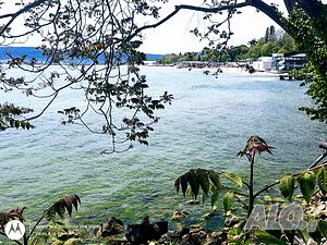 image_13