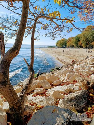 image_22