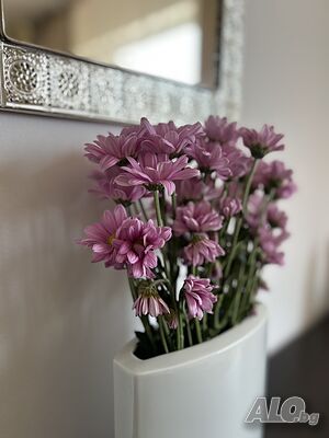 image_17