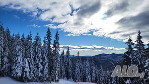 нощувки Апартаменти в Пампорово, хотел Грийн лайф, до ски писти и Студенец