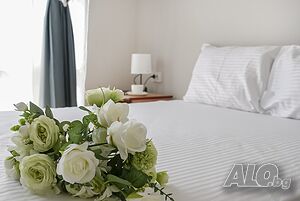 image_31