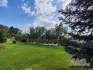 image_6