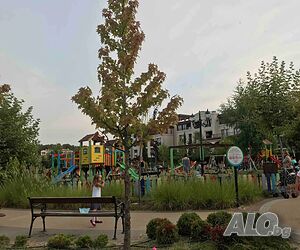 image_27