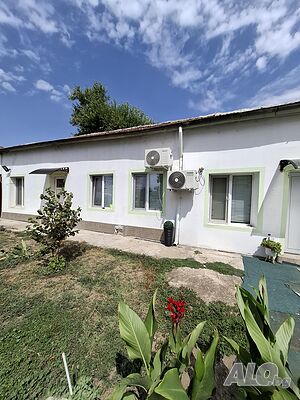 Стая под наем Стаи за нощувки