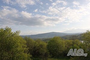 image_24