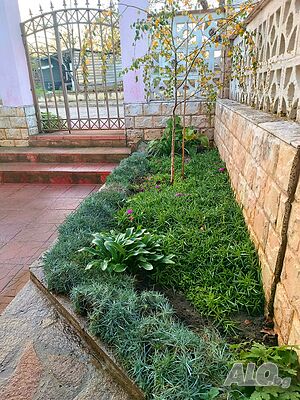 image_22