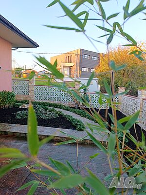 image_21