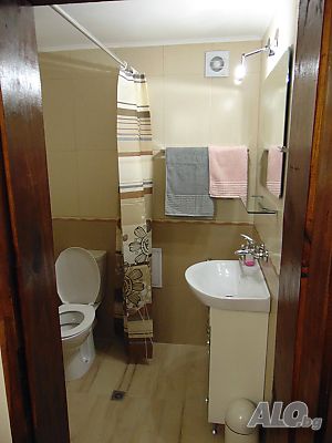 image_11