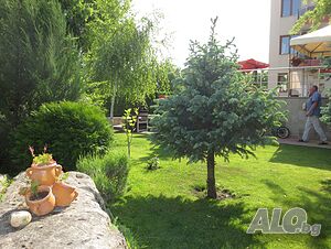 image_16