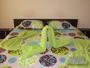 image_11