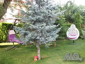 image_15