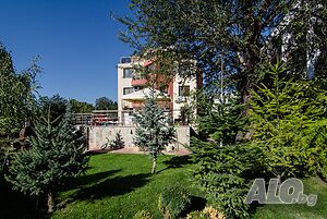 image_36