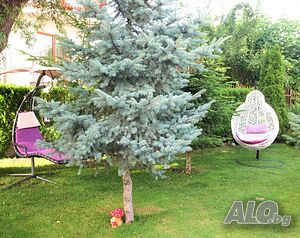 image_26