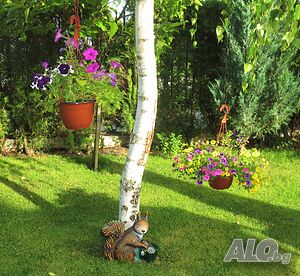 image_32