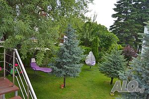 image_37