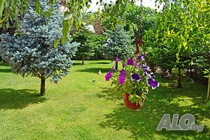 image_39