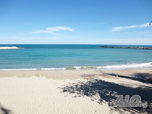 image_41