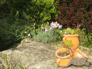 image_50