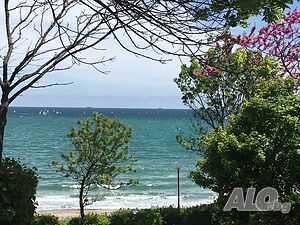 image_8