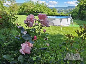 image_13
