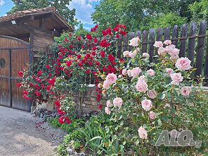 image_15