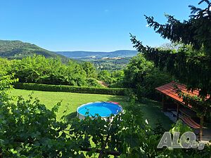 image_21