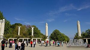 image_14