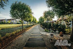 image_19