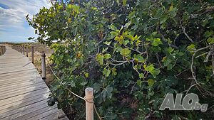 image_24