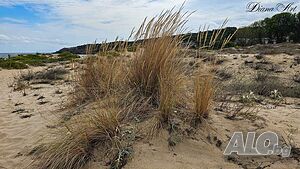 image_25